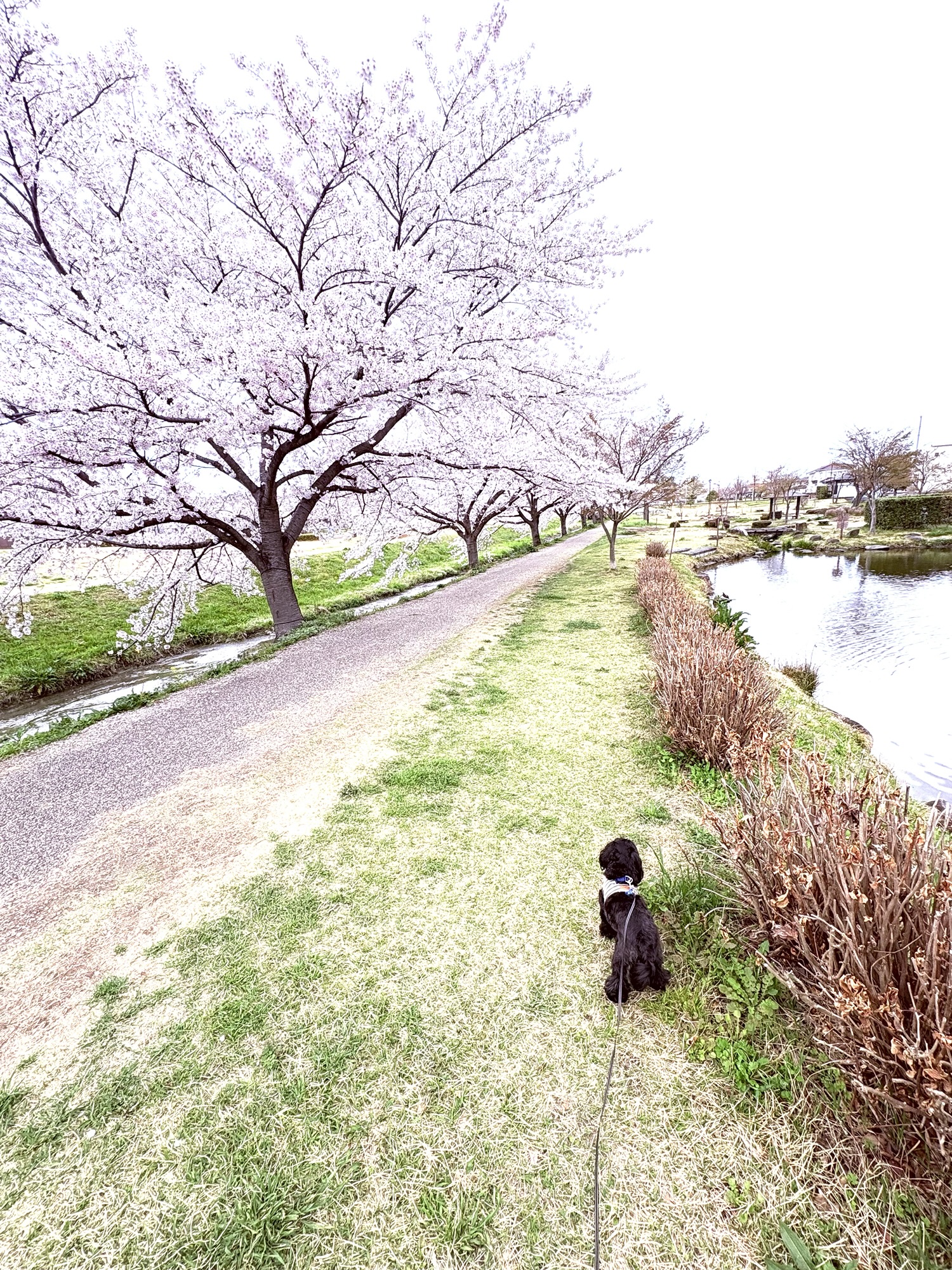 3月、4月のお休みのお知らせ☆