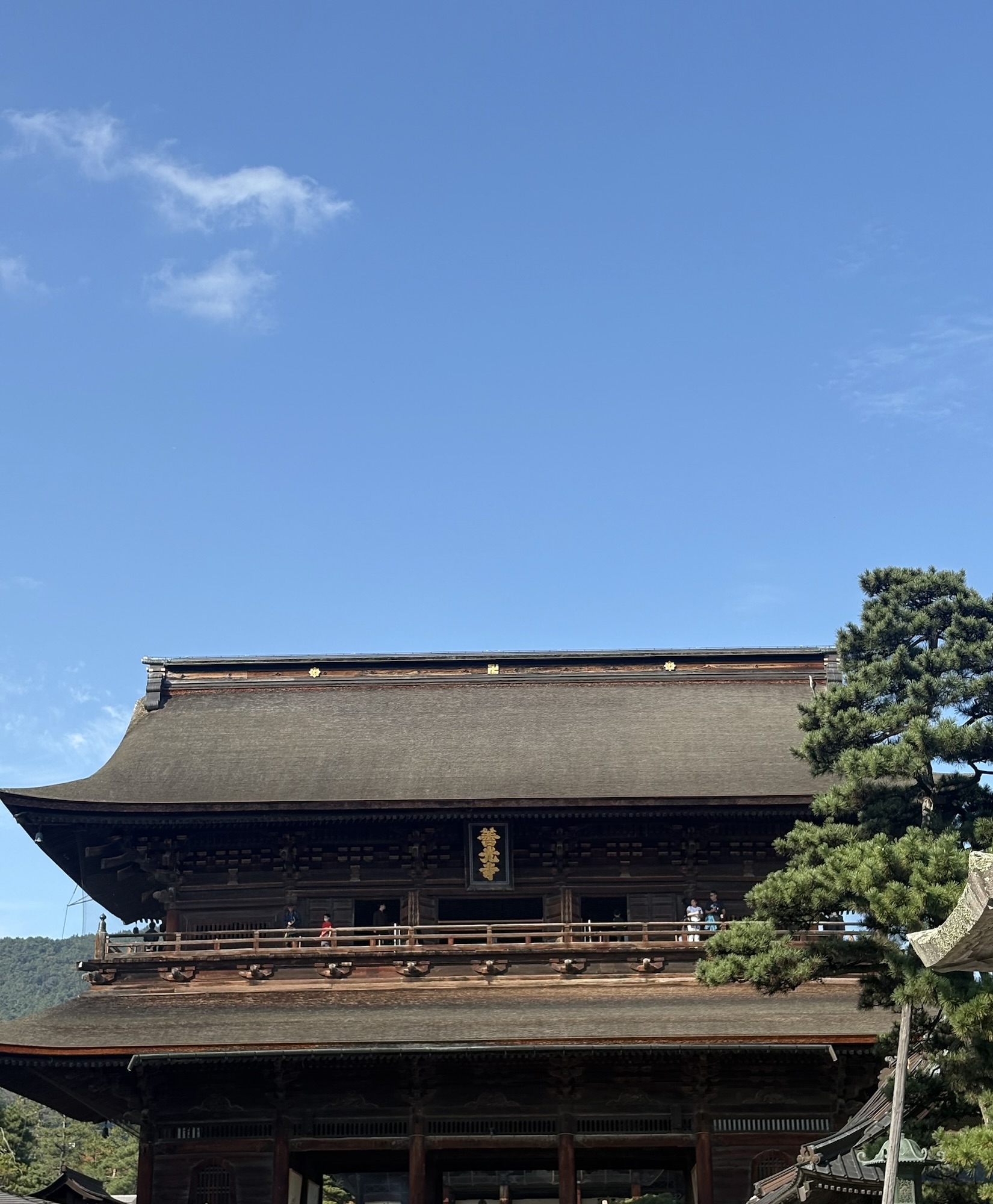 11月、12月のお休みのお知らせ⭐︎